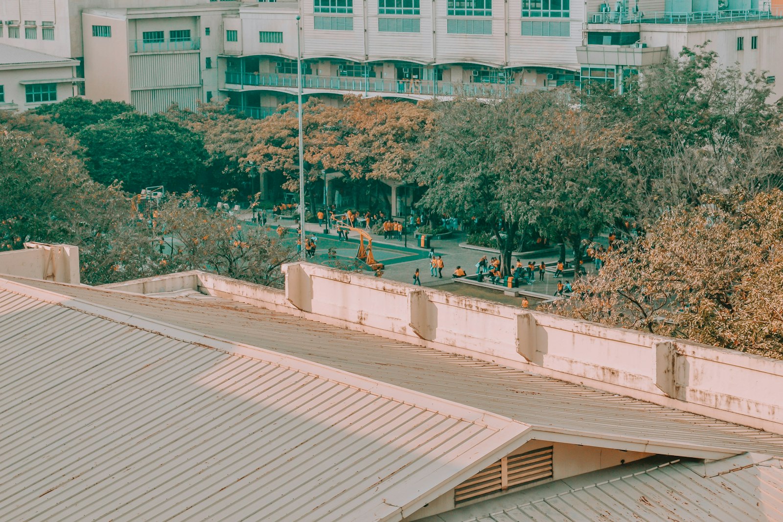 A university courtyard between lectures