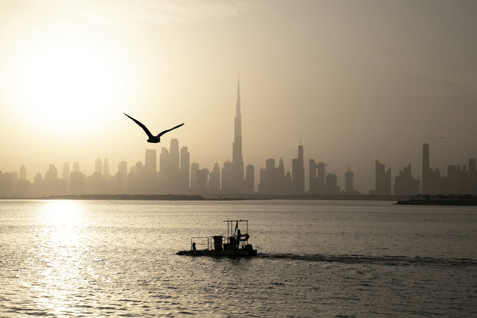 A gull over the water at Dubai Creek
