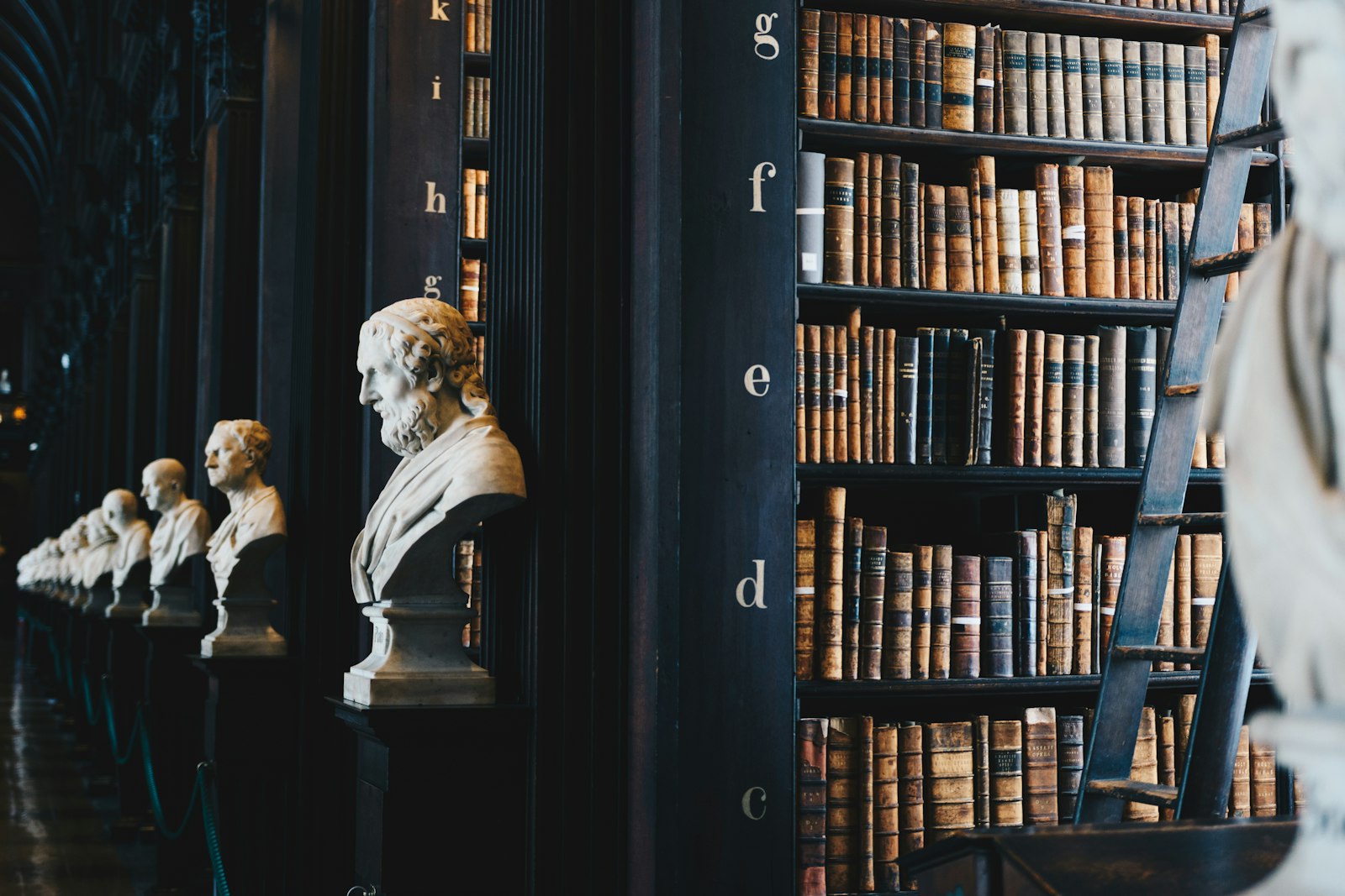 A long library reading room lined with books